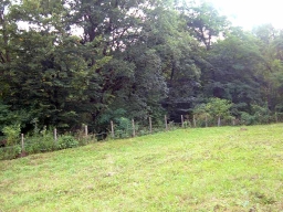 Sommer